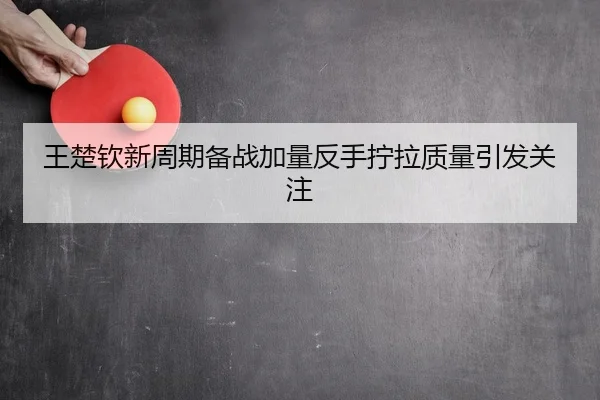 王楚钦新周期备战加量反手拧拉质量引发关注